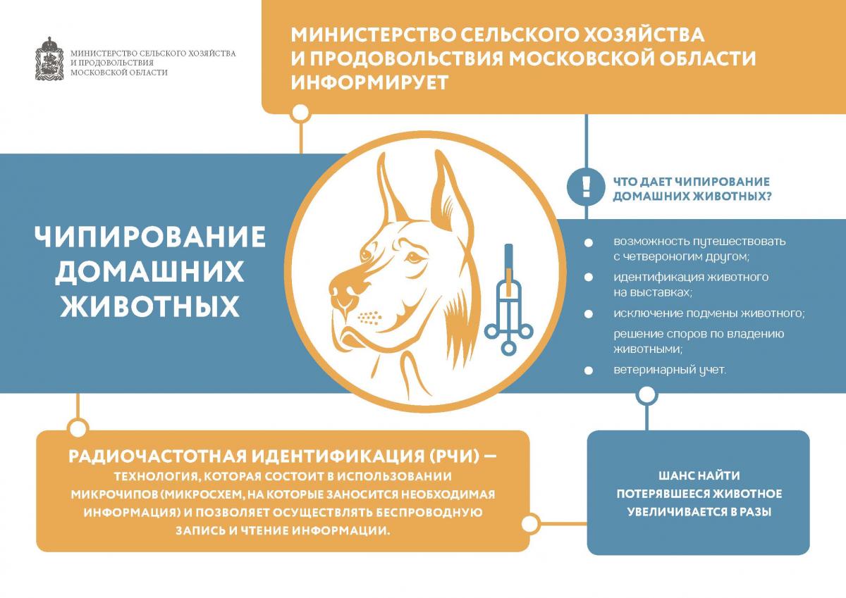 Полномочия в области обращения с животными | Администрация городского  округа Люберцы Московской области